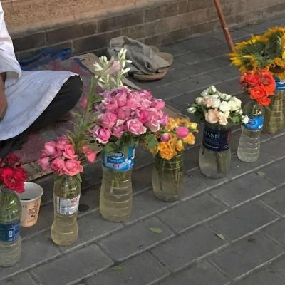 中青视评丨一份“烟火气”，旅途暖人心