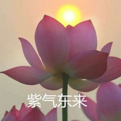 手趣网络凌天剑尊下载